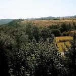 アパート Endora Im Harzer Stil, Handgefertigte Moebel - Wlan- Garage - Wandern-mountainbike-motorradurlaub Hohegeiß