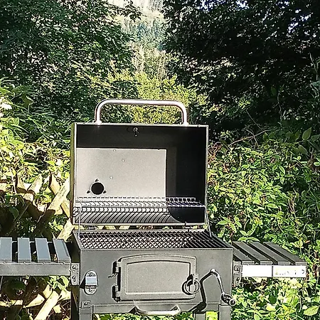 Endora Im Harzer Stil, Handgefertigte Moebel - Wlan- Garage - Wandern-mountainbike-motorradurlaub 公寓