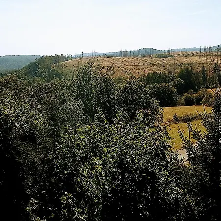 Appartement Endora Im Harzer Stil, Handgefertigte Moebel - Wlan- Garage - Wandern-mountainbike-motorradurlaub Hohegeiß