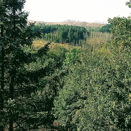 Appartement Endora Im Harzer Stil, Handgefertigte Moebel - Wlan- Garage - Wandern-mountainbike-motorradurlaub *