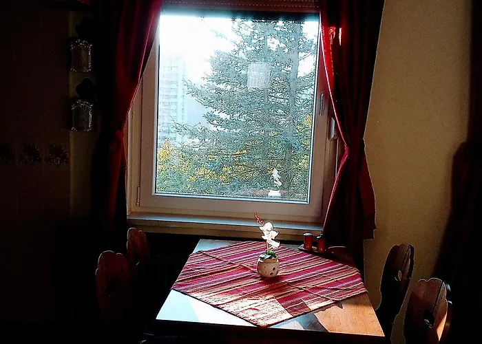 아파트 Endora Im Harzer Stil, Handgefertigte Moebel - Wlan- Garage - Wandern-mountainbike-motorradurlaub *